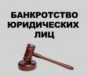Услуги юриста по банкротству юридических лиц во Владивостоке